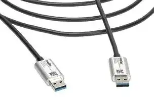 106413-4010: USB Cable, Type A Plug to Type A Plug, 10 m, 33 ft, USB 3.1, Black
