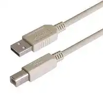 CSMUAB-03M: USB Cable, Type A Plug to Type B Plug, 300 mm, 11.8 ", USB 2.0, Light Grey