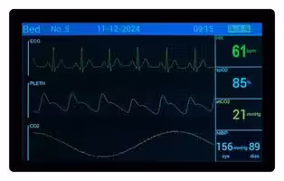 DP-1011-01A: TFT LCD, 10.1 ", 1280 x 800 Pixels, Landscape