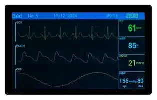 DP-1011-01A: TFT LCD, 10.1 ", 1280 x 800 Pixels, Landscape