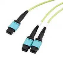 MPF24-MPF212OM5R-3: Fibre Optic Cable, OM5 Multimode, 50µm/125µm, 24 Fibres, MPO Jack to 2x MPO Jack, 3m