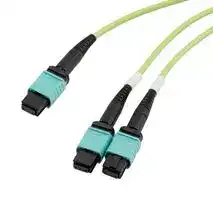 MPF24-MPF212OM5Z-1: Fibre Optic Cable, OM5 Multimode, 50µm/125µm, 24 Fibres, MPO Jack to 2x MPO Jack, 1m