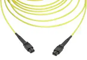 106225-0009: LEAD ASSEMBLY
