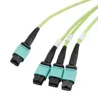 MPF24-MPF308OM5Z-5: Fibre Optic Cable, OM5 Multimode, 50µm/125µm, 24 Fibres, MPO Jack to 3x MPO Jack, 5m