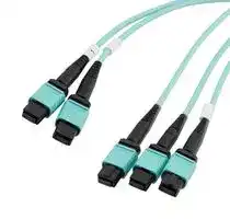 MPF308-MPF212OM4Z-1: Fibre Optic Cable, OM4 Multimode, 50µm/125µm, 24 Fibres, 3x MPO Jack to 2x MPO Jack, 1m