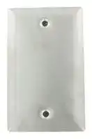 TE-WSS-D: SS WALL PLATE,PT100  RTD.