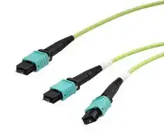 MPM24-MPM212OM5R-1: Fibre Optic Cable, OM5 Multimode, 24Fibres, 50µm / 125µm, MPO Plug to 2x MPO Plug, 1m