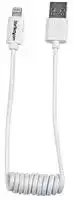 USBCLT30CMW: USB Cable, Type A Plug to Lightning Plug, 300 mm, 11.81 ", USB 2.0, White