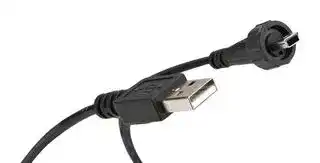 17-250031: USB Cable, IP67, Type A Plug to Mini Type B Plug, 2 m, 6.6 ft, USB 2.0, Black