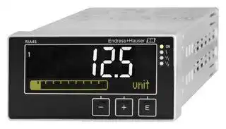 RIA45-A1B1: Process Indicator, 5 Digit, 24 to 230 V, 2 Universal Input/2 Analog Output, Panel Mount
