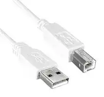3021062-06: USB CORD, 2.0 A PLUG-B PLUG, 6FT