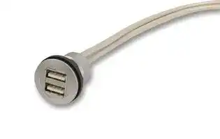 09 45 452 1950: USB Cable, Dual Type A Plug to Type A Receptacle, 0.5 m, 19.7 ", USB 2.0