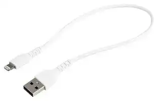 RUSBLTMM30CMW: USB Cable, 30cm USB to Lightning Cable White, Apple MFi Certified, Aramid Fiber