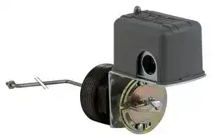 9037HG32LZ20: Float Switch, Closed tank, NEMA 1, Flange Mount, 2 NC, DPST DB